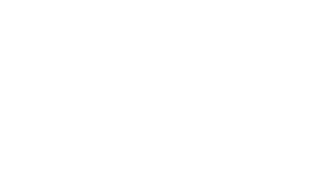Microsoft _Logo06