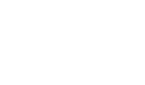 Zoom _Logo06